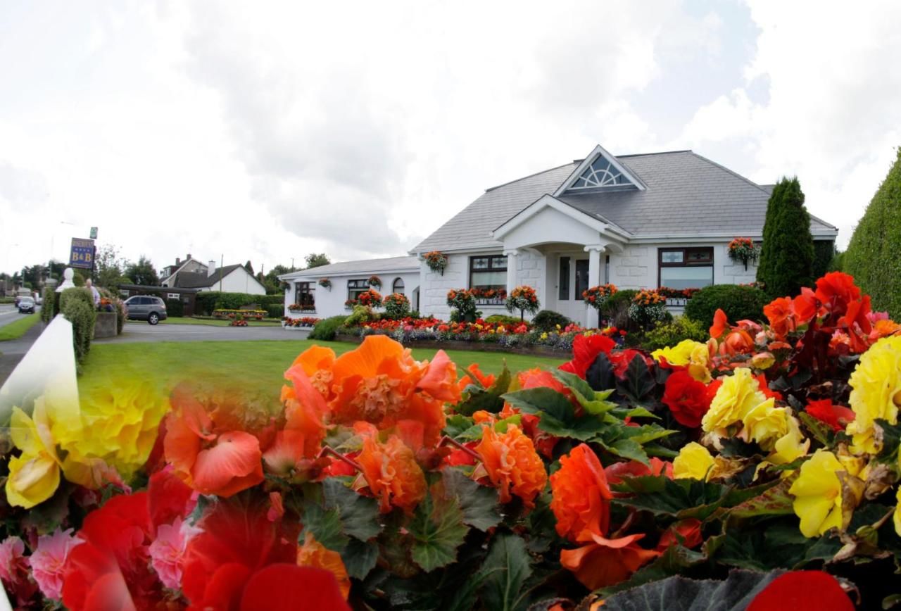 Отели типа «постель и завтрак» Rosemount B&B Дандолк-34