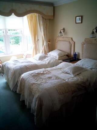 Отели типа «постель и завтрак» Rosemount B&B Дандолк Двухместный номер с 2 отдельными кроватями-1