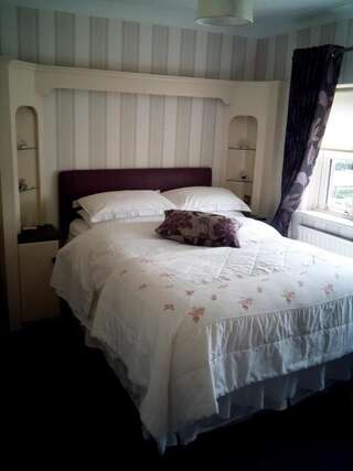 Отели типа «постель и завтрак» Rosemount B&B Дандолк Двухместный номер с 1 кроватью-5