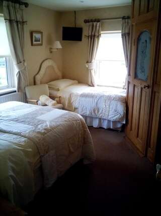 Отели типа «постель и завтрак» Rosemount B&B Дандолк Двухместный номер с 2 отдельными кроватями-2