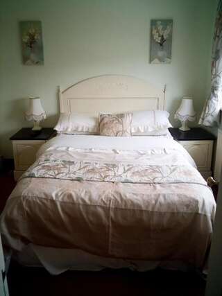 Отели типа «постель и завтрак» Rosemount B&B Дандолк Двухместный номер с 1 кроватью-18