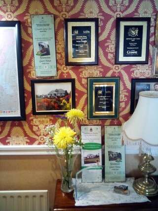 Отели типа «постель и завтрак» Rosemount B&B Дандолк-6